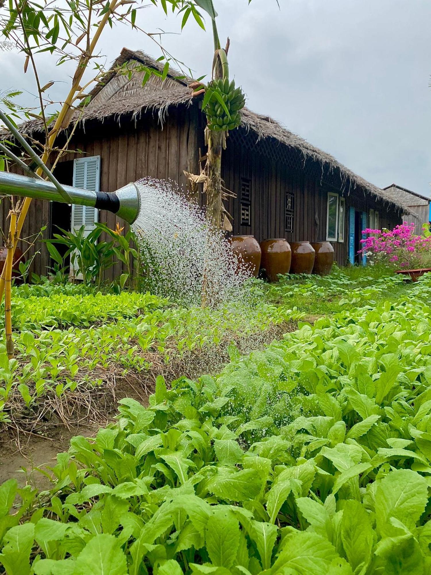 Mekong Silt Ecolodge Can Tho Exterior foto